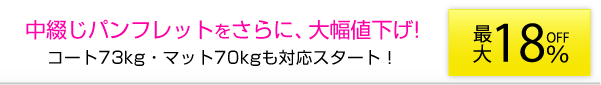 ���Ԃ��p���t���b�g�啝�l����