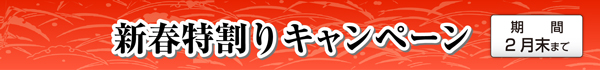 年末特割キャンペーン中！期間12月末まで