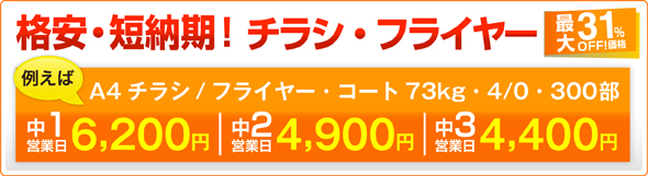 �`���V�E�t���C�������L�����y�[�����i