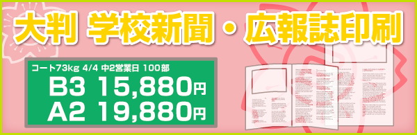 上質55・70kg限定チラシ